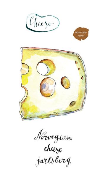 Coin de Jarlsberg fromage danois avec trous dans l'aquarelle
 - Vecteur, image
