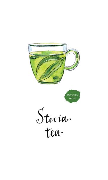 Ecological herbal tea in glass cup with stevia leaves in waterco - Vector, Image