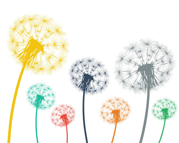 Multi-colored dandelions on a white background - Διάνυσμα, εικόνα