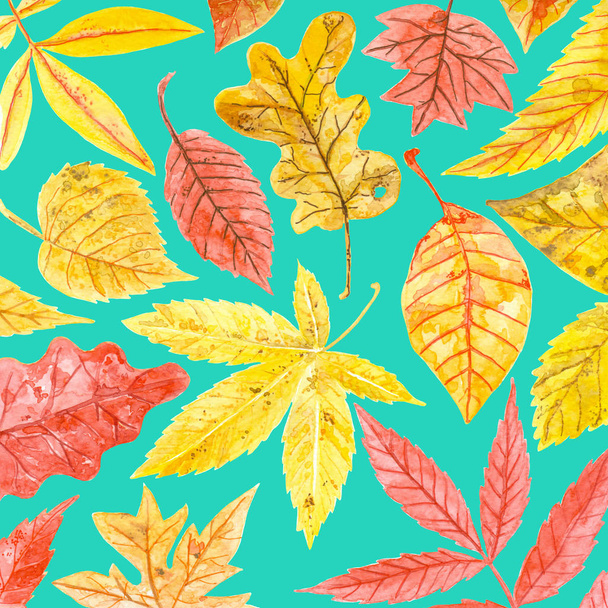 Autumn watercolor pattern - Foto, Bild
