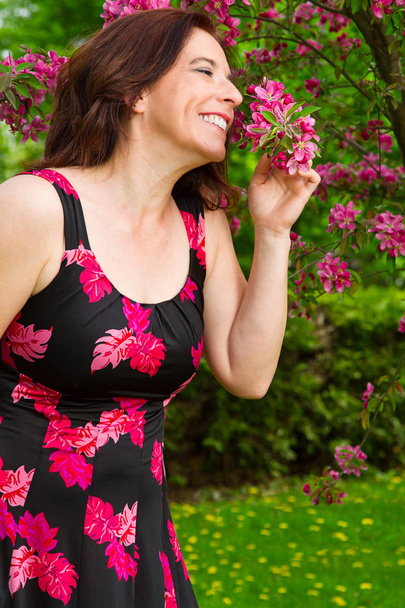 Disfrutando de flores de cerezo
 - Foto, Imagen