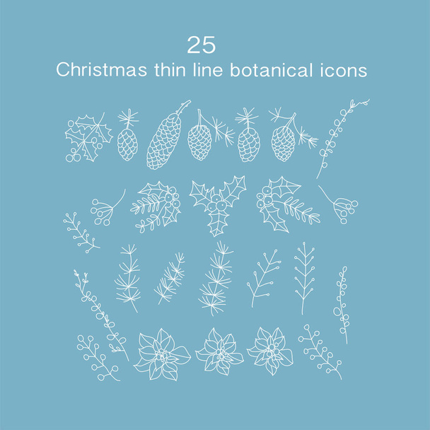 Set of 25 Christmas botanical symbols. - Vector, Image