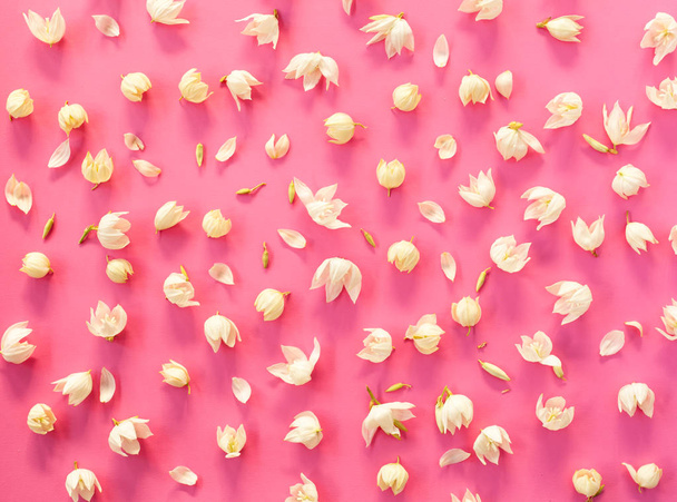 Creatieve regeling van witte bloemen op helder roze achtergrond. - Foto, afbeelding