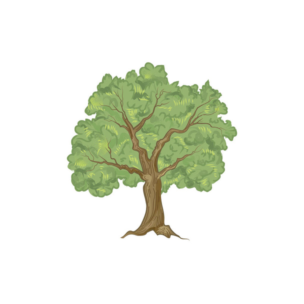 Baum mit Blättern Illustration  - Vektor, Bild