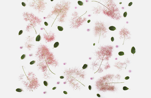 Composition de la couche plate faite de fleurs pourpres arbre de fumée
 - Photo, image