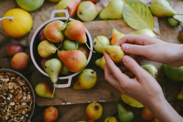 Syksyn hedelmätausta. Syksyn kiitospäivän kausihedelmät. Nat
 - Valokuva, kuva