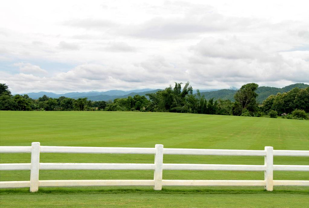 Pâturages verts avec clôture en ciment blanc et ciel nuageux
 - Photo, image