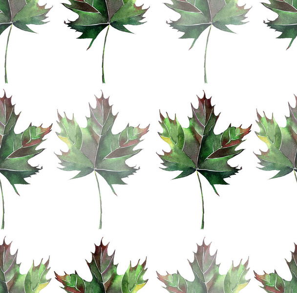 Beautiful lovely graphic artistic abstract bright floral herbal autumn green maple leaves pattern watercolor hand sketch. Perfect for textile, wallpapers, wrapping paper, cards, invitations - Photo, image