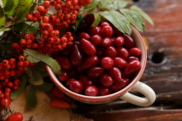 Cornelin punainen marja kauniissa kupissa puupöydällä. yy ää ää
 - Valokuva, kuva