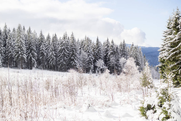 Winter landscape in Bavaria - Foto, immagini