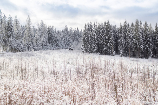 Winter landscape in Bavaria - 写真・画像