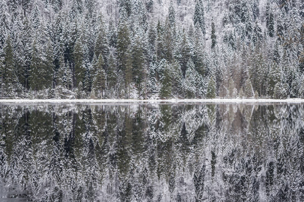 Winter landscape in Bavaria, Arbersee - Photo, Image