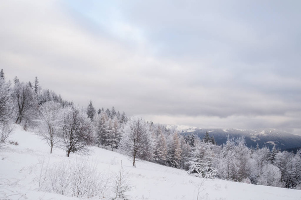 Winter landscape in Bavaria - Фото, изображение
