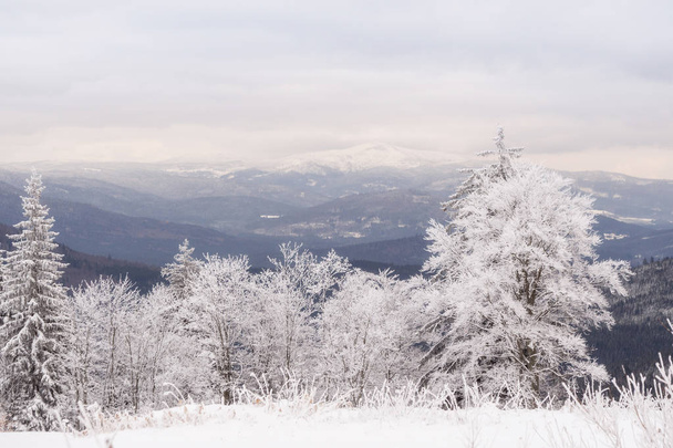 Winter landscape in Bavaria - Foto, Imagen