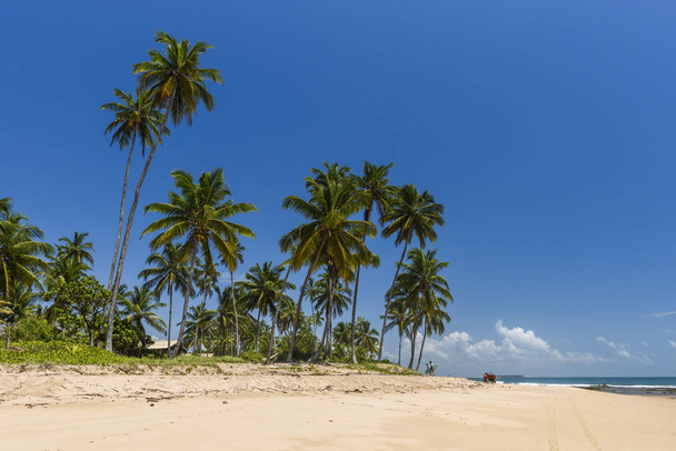 Bombay Beach in Barra Grande - Foto, Bild