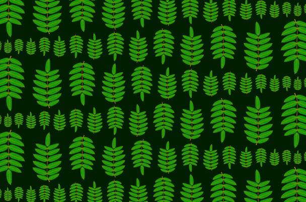 Groene blad van rowan op donkere achtergrond - Vector, afbeelding
