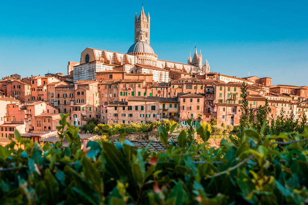 Secenery of Siena, a beautiful medieval in Tuscany, Italy with view of the Dome and Bell Tower of Siena Cathedral  - Photo, Image
