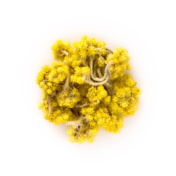 Helichrysum Thé sur blanc
 - Photo, image