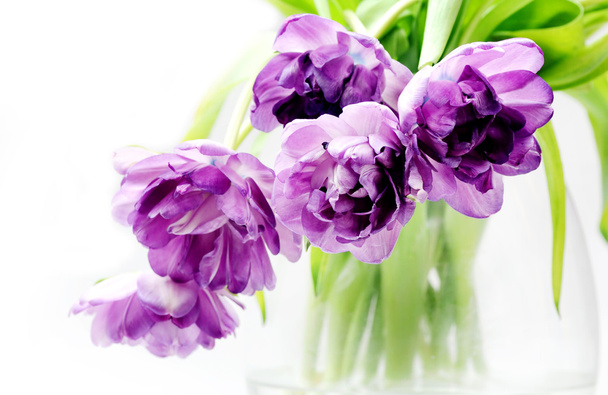 Tulips bouquet in vase - Photo, Image
