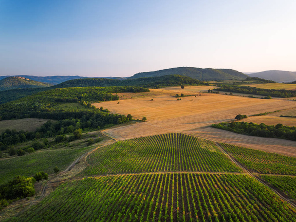 Beautiful Sunset over vineyard in Europe, aerial view - Photo, image
