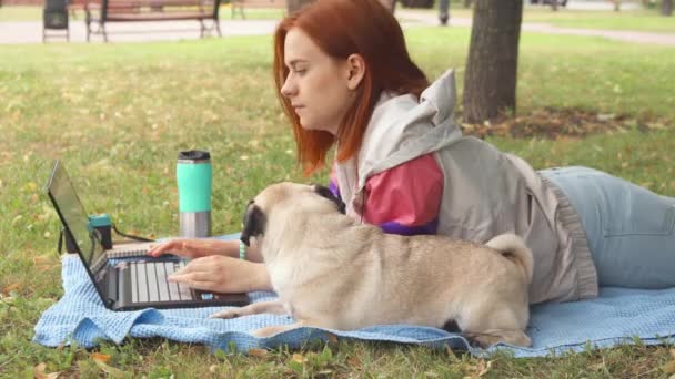 Dívka dne a psaní na notebooku na trávníku s její Mops a okolí - Záběry, video