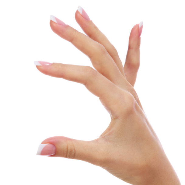 wijfje hand geïsoleerd op witte achtergrond - Foto, afbeelding