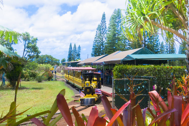 červený vlak se turistů kolem Dole ananasové plantáže v Oahu Island Hawaii - Fotografie, Obrázek