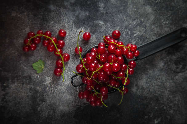 fresh red currant on black background - Fotó, kép