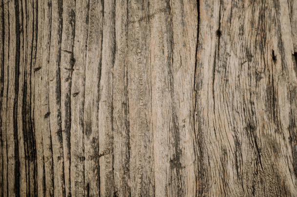 textura de madera fondo. - Foto, Imagen
