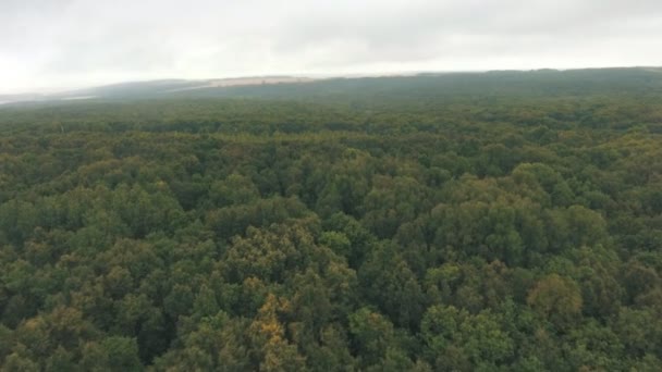 aerial view on forest in russia - Materiaali, video