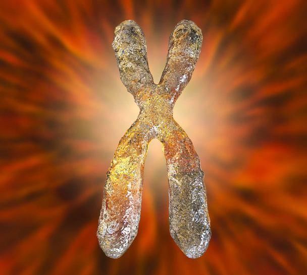 İnsan kromozomu illüstrasyon - Fotoğraf, Görsel