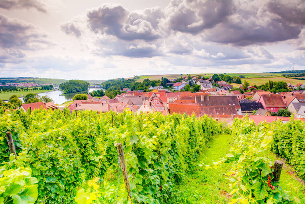Widok na winnice i wieś Wipfeld - Zdjęcie, obraz