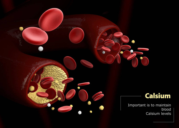 3d Illustration of calcitonin and parathormone. Regulation of calcium levels in the blood - Photo, Image