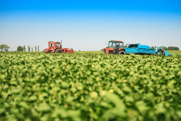 Agricultural machines in a soy field in a sunny summer day. - Photo, Image
