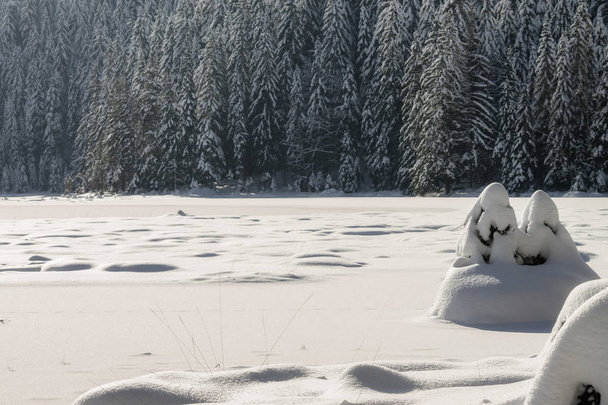 χειμερινό τοπίο στη Βαυαρία - Φωτογραφία, εικόνα
