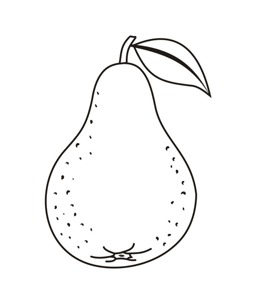 Pear vector outline - Vector, Image