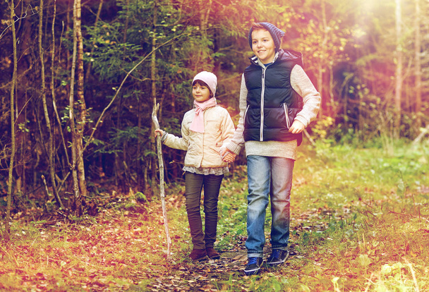 duas crianças felizes caminhando ao longo do caminho da floresta
 - Foto, Imagem