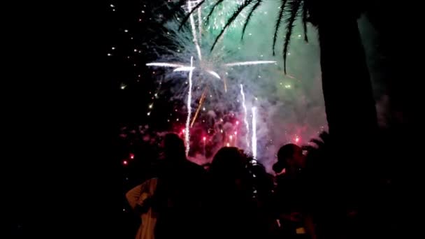 Program Fireworks wiele. Fajerwerk. Kolorowe fajerwerki atn night wakacje - Materiał filmowy, wideo