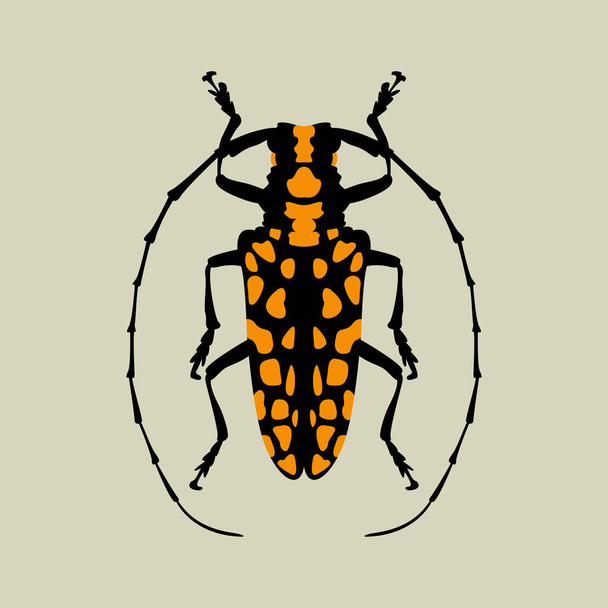Векторная иллюстрация жуков плоская
 - Вектор,изображение