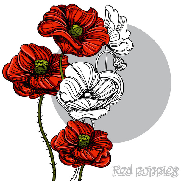 Hand drawn red poppies.  - Vektor, kép