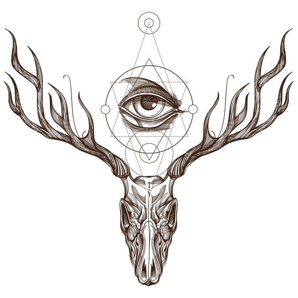 Sketch of deer skull - Vector, afbeelding