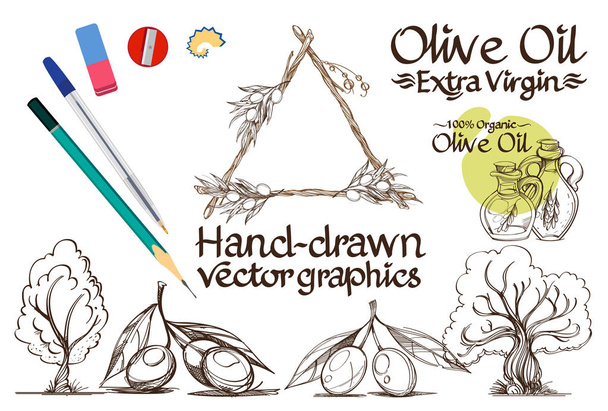 Image of the olive fruit, trees.  - Vector, Image