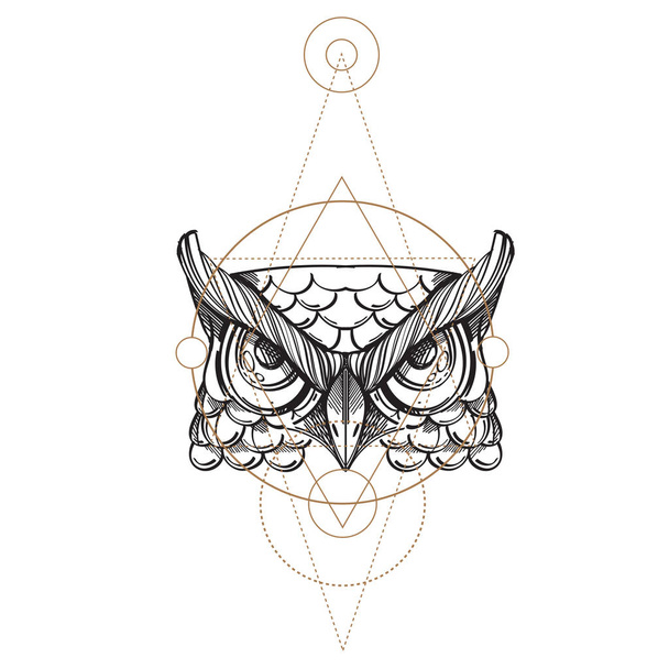 Muzzle of an owl illustration  - Διάνυσμα, εικόνα