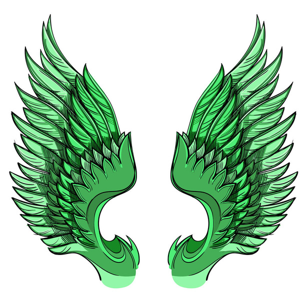  緑の翼のイラスト - ベクター画像