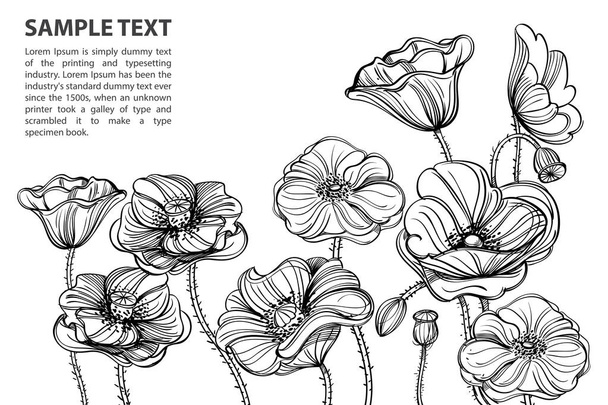 Contour image of poppy flowers.  - Vector, Imagen