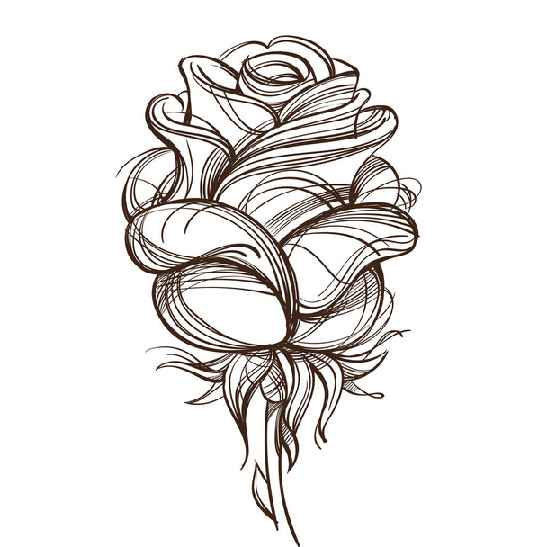 Hand drawn rose design element.  - Vector, Image