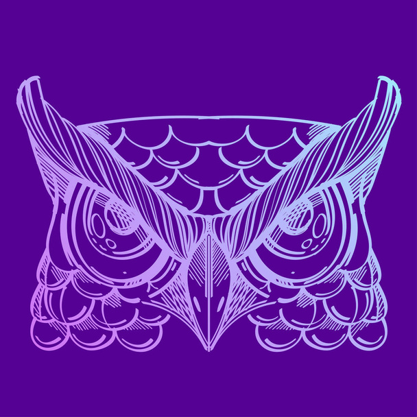 Muzzle of an owl illustration - Vector, afbeelding