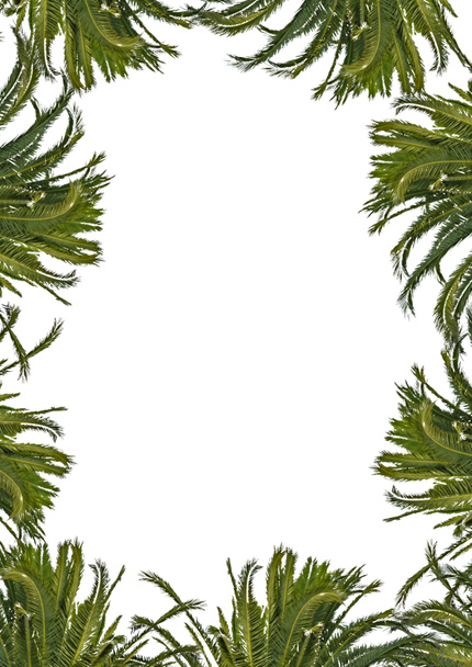 White Frame with Decorated Plant Borders - Φωτογραφία, εικόνα