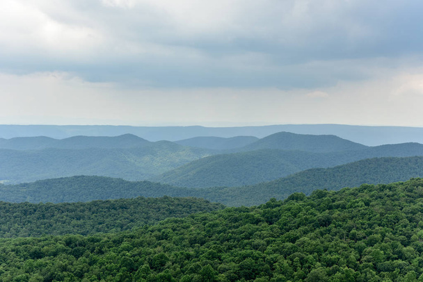Shenandoah Nemzeti Park - Virginia - Fotó, kép