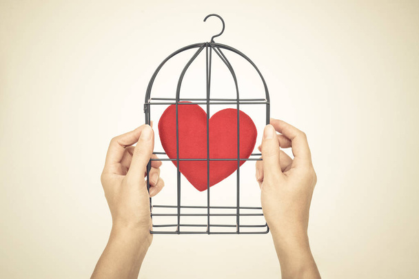 Een vogelkooi met een rood hart - Foto, afbeelding